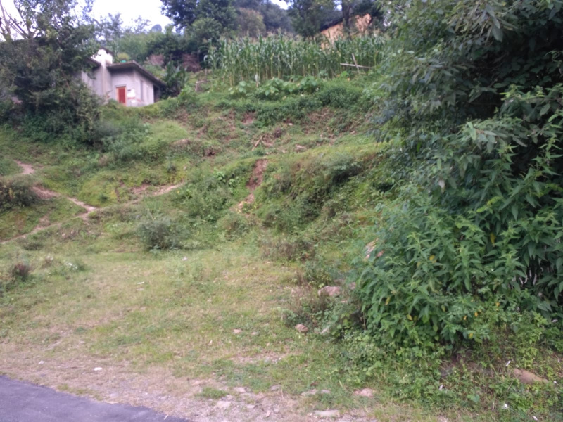  14 Biswa Residential Plot for Sale in Hira Nagar, Shimla