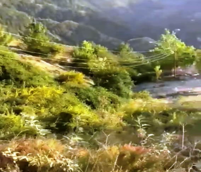  10 Biswa Commercial Land for Sale in Theog, Shimla