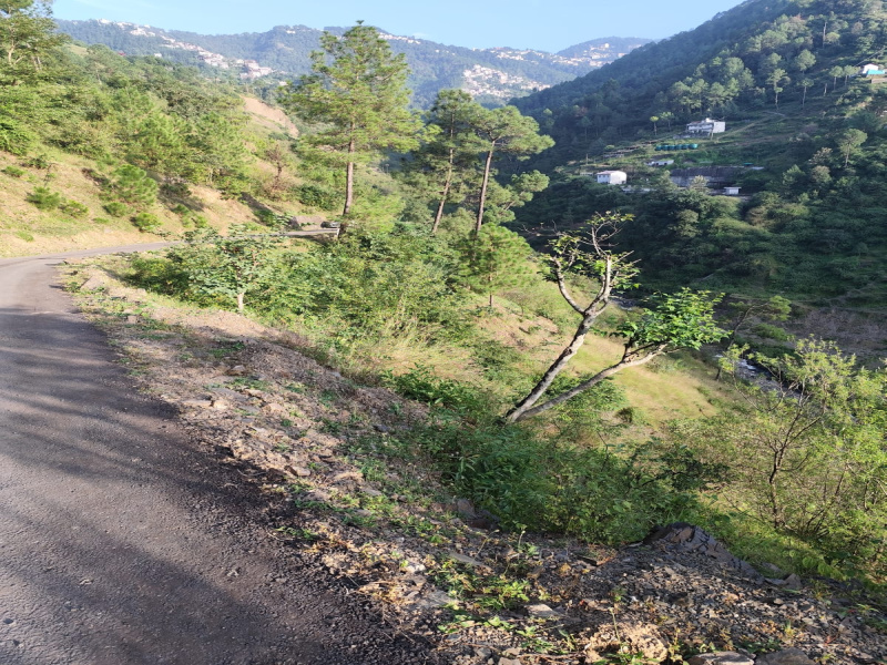  32 Biswa Residential Plot for Sale in Bhagtan, Sirmaur, Shimla