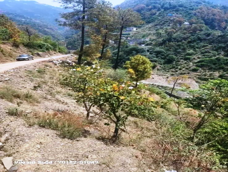  32 Biswa Residential Plot for Sale in Bhagtan, Sirmaur, Shimla