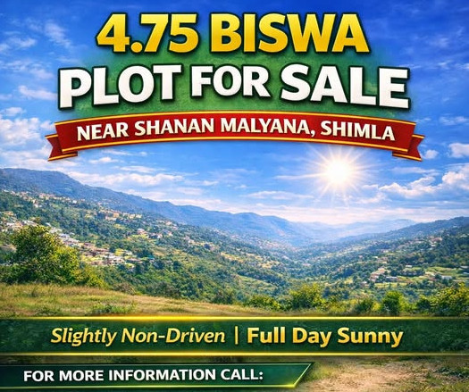  5 Biswa Residential Plot for Sale in Malyana, Shimla