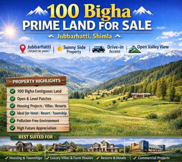  100 Bigha Residential Plot for Sale in Jubbarhatti, Shimla