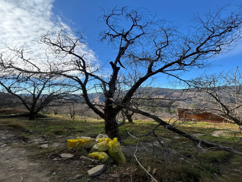  11 Bigha Commercial Land for Sale in Fagu, Shimla