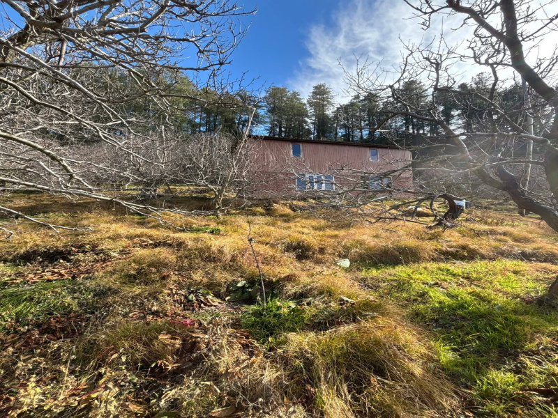  11 Bigha Commercial Land for Sale in Fagu, Shimla