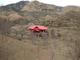  Agricultural Land for Sale in Chhaila, Shimla