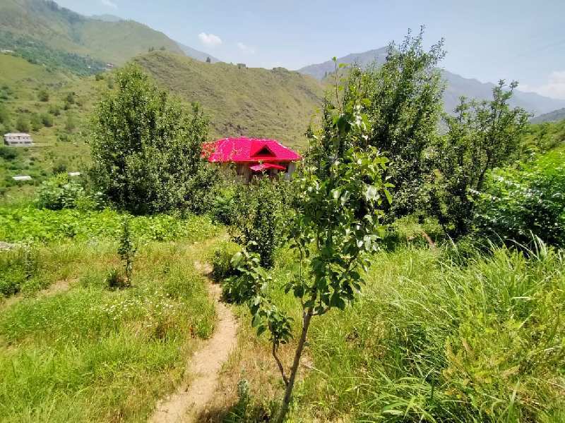Agricultural Land 50 Bigha for Sale in Chhaila, Shimla (REI948678)