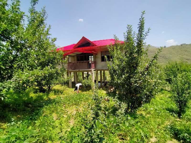 Agricultural Land 50 Bigha for Sale in Chhaila, Shimla (REI948678)