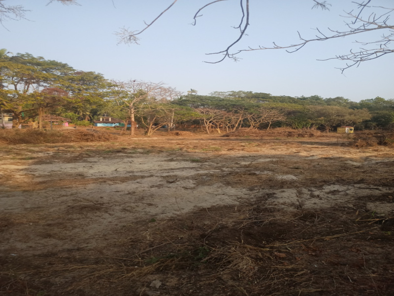  Commercial Land 22400 Sq. Meter for Sale in Velsao, Goa