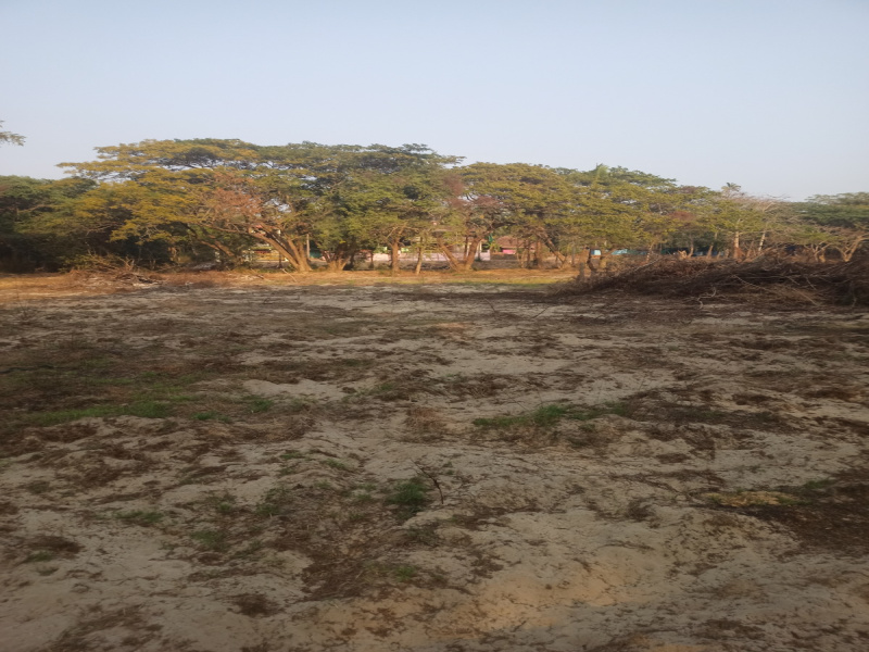  Commercial Land 22400 Sq. Meter for Sale in Velsao, Goa