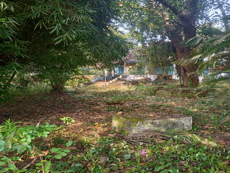  Residential Plot 1700 Sq. Meter for Sale in Anjuna, North Goa,