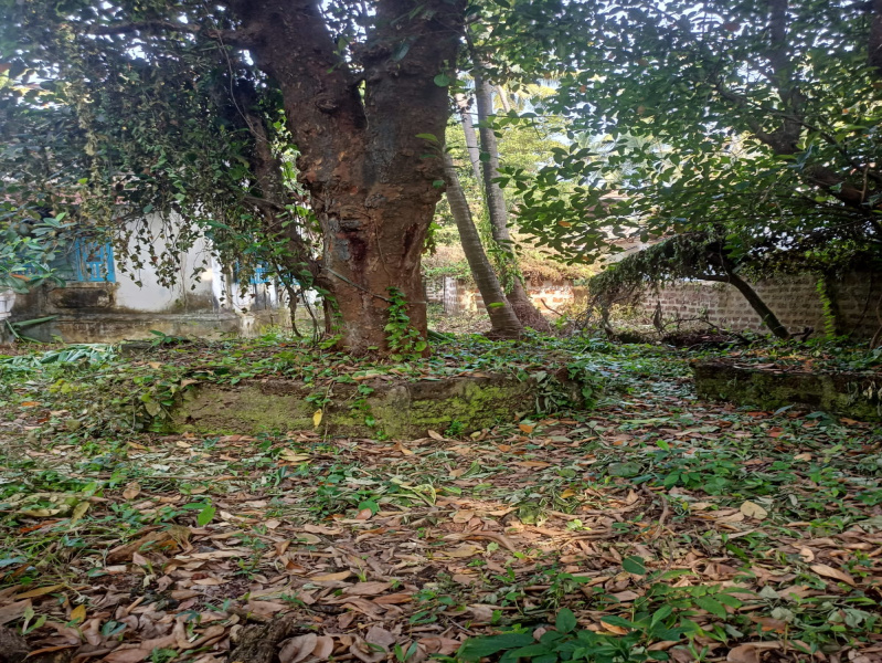  Residential Plot 1700 Sq. Meter for Sale in Anjuna, North Goa,