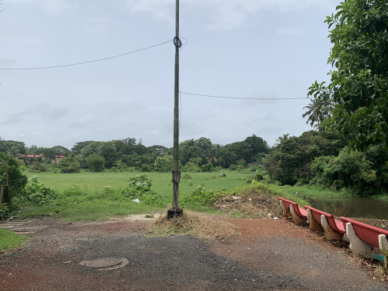 2 BHK Apartment 82 Sq. Meter for Sale in Navelim, Margao, Goa