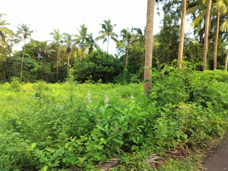  2000 Sq. Meter Residential Plot for Sale in Tivim, North Goa, 