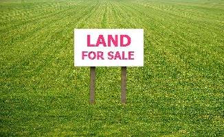  Agricultural Land for Sale in VIP Road, Raipur