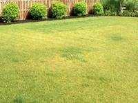  Residential Plot for Sale in DLF Phase I, Gurgaon