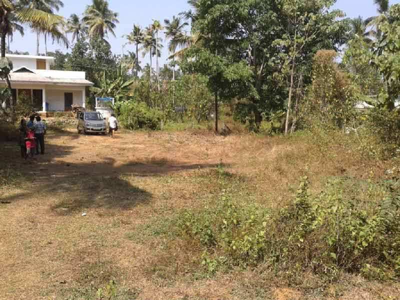 Residential Plot 15 Cent for Sale in Kodakara, Thrissur