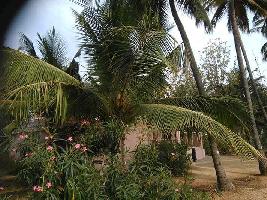  Agricultural Land for Sale in Press Colony, Coimbatore