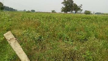  Agricultural Land for Sale in Rura, Kanpur Dehat