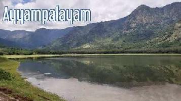  Agricultural Land for Sale in Ayyampalayam, Dindigul