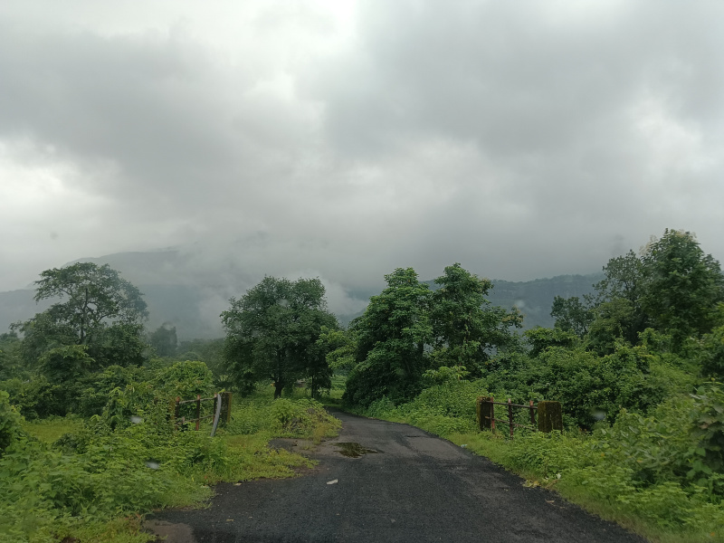  Residential Plot 13 Acre for Sale in Shahapur, Thane