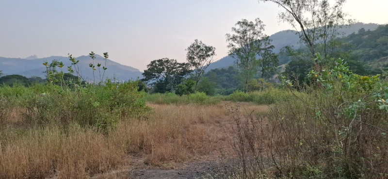  Residential Plot 36 Acre for Sale in Khopoli, Raigad