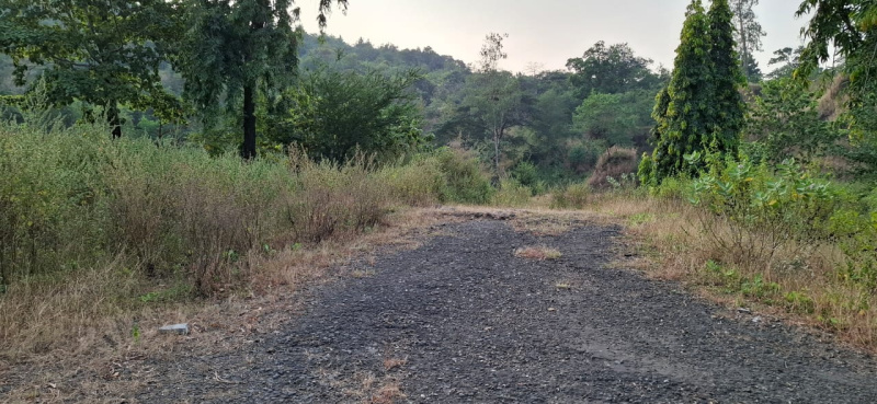  Residential Plot 36 Acre for Sale in Khopoli, Raigad