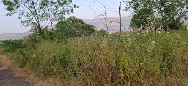  Residential Plot 36 Acre for Sale in Khopoli, Raigad