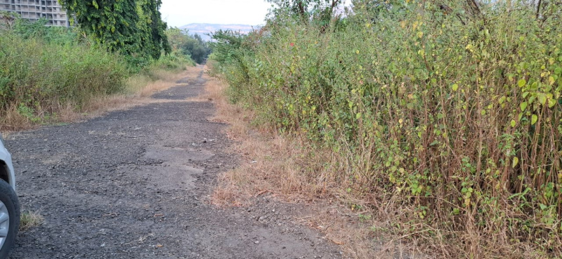  Residential Plot 36 Acre for Sale in Khopoli, Raigad