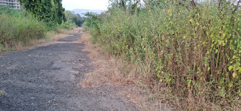  Residential Plot 36 Acre for Sale in Khopoli, Raigad