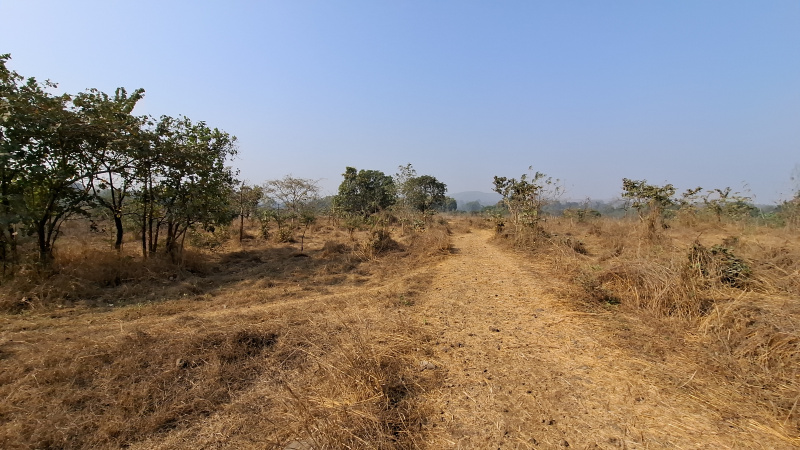  Agricultural Land 10 Acre for Rent in Waghbil, Thane