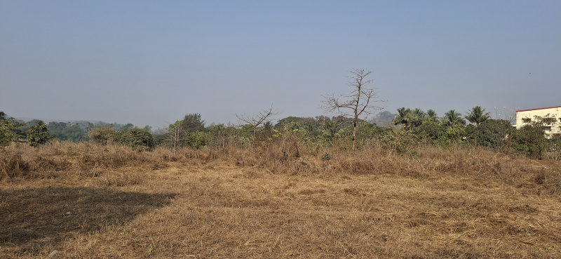  Agricultural Land 10 Acre for Rent in Waghbil, Thane