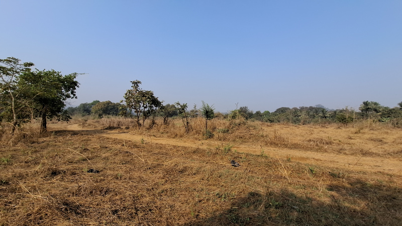  Agricultural Land 10 Acre for Rent in Waghbil, Thane