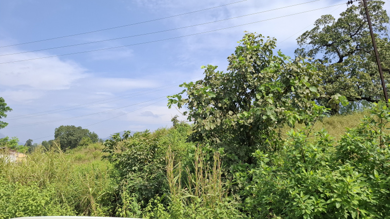 20 Acre Residential Plot for Sale in Khalapur, Raigad