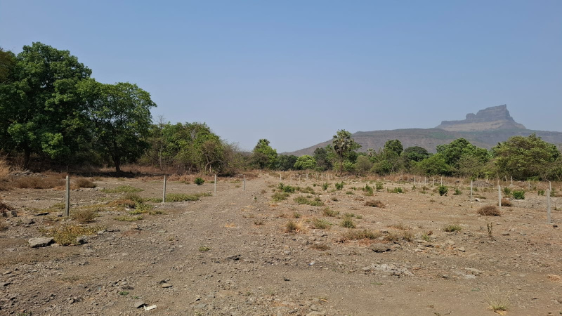  12 Acre Hotels for Sale in Panvel, Raigad