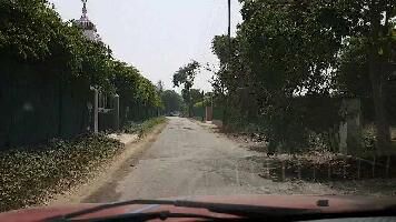 1 BHK Farm House for Sale in Sector 135 Noida