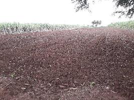 Agricultural Land for Rent in Kolwadi, Pune, 