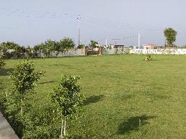  Residential Plot for Sale in Yamuna Expressway, Greater Noida