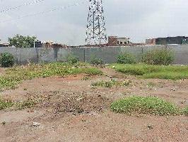  Residential Plot for Sale in Neharpar, Faridabad