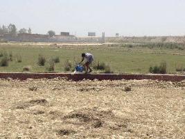  Residential Plot for Sale in Sector 150 Noida