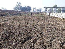  Residential Plot for Sale in Sector 29 Faridabad