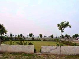  Residential Plot for Sale in Sector 29 Noida
