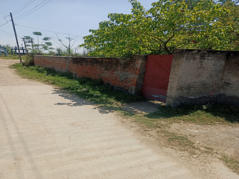  2250 Sq.ft. Residential Plot for Sale in Model Town, Ambala