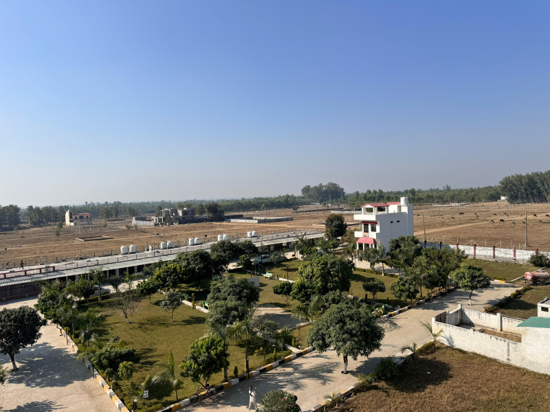  1090 Sq.ft. Residential Plot for Sale in Sector 10 Ambala
