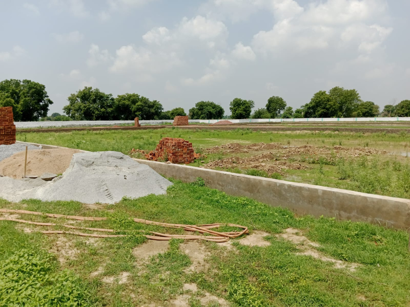  1090 Sq.ft. Residential Plot for Sale in Sector 10 Ambala