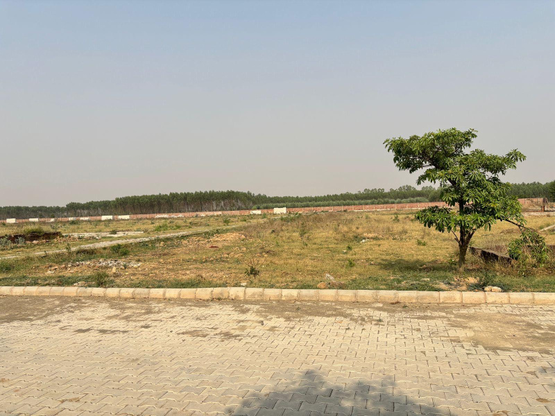  1250 Sq.ft. Residential Plot for Sale in Manav Chowk, Ambala