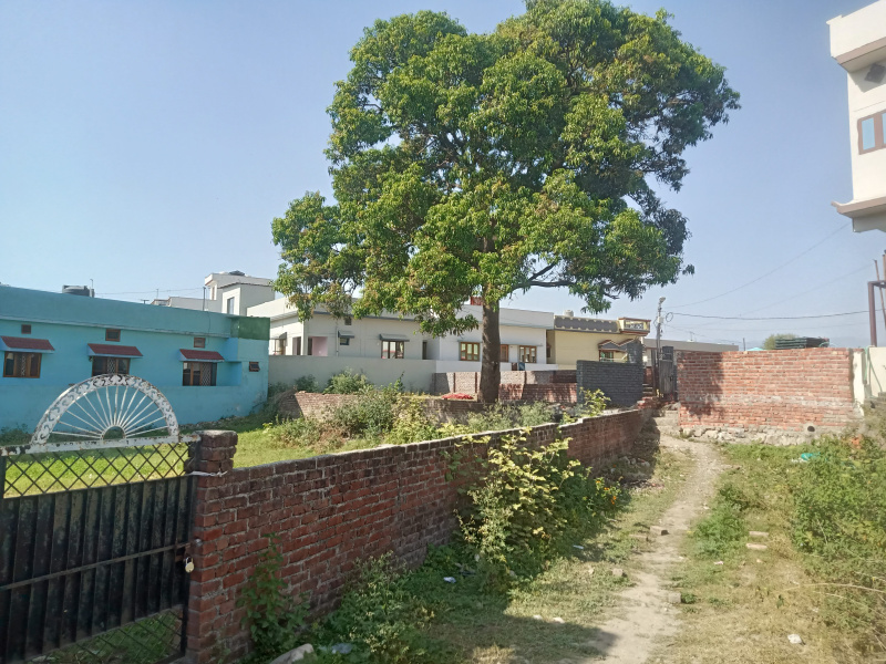 Lane No 4, Mahalaxmipuram, Mothrowala, Dehradun, Uttarakhand 248001
