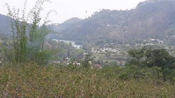  Residential Plot for Sale in Bhimtal, Nainital