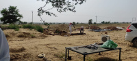  Agricultural Land for Sale in Suratgarh, Ganganagar