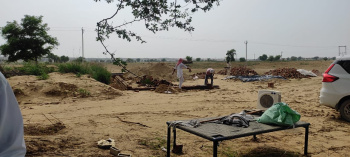  Agricultural Land for Sale in Suratgarh, Ganganagar