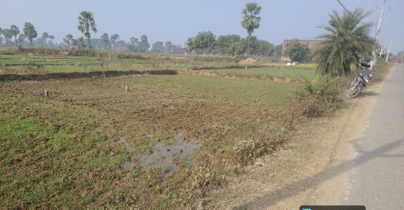  26 Dismil Residential Plot for Sale in Sherghati, Gaya